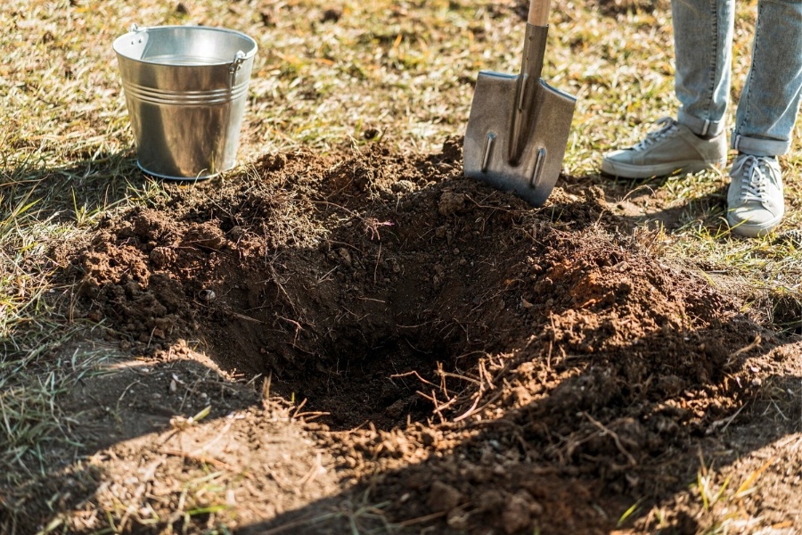 Soil Removal Prosper TX